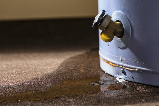 Best 24/7 water damage repair  in Bethpage, NY