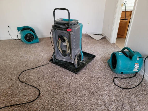 Best Mold removal after water damage  in Bethpage, NY