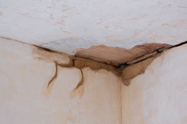 Best Water damage restoration company  in Bethpage, NY