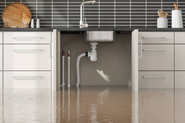 Best Local water damage restoration  in Bethpage, NY