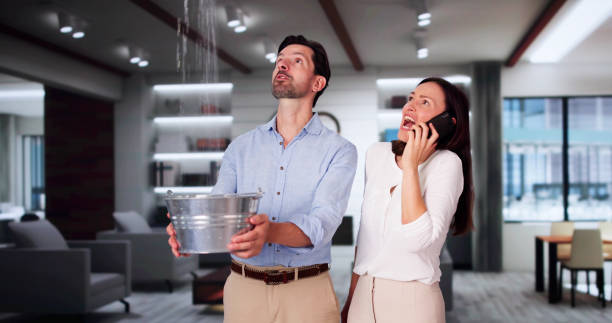 Best Water damage repair service  in Bethpage, NY