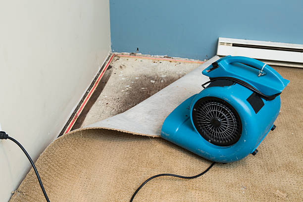 Best Local water damage restoration  in Bethpage, NY